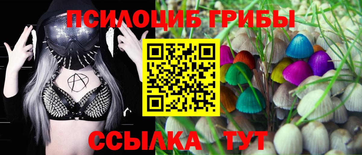 Галлюциногенные грибы Psilocybine cubensis  где купить наркоту  Армавир  Вход с VPN 