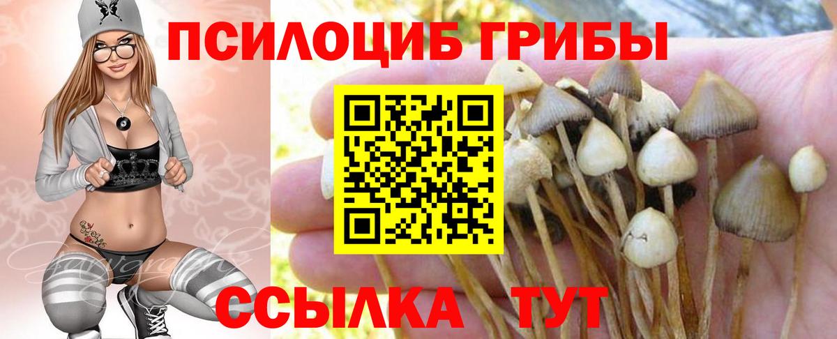 Псилоцибиновые грибы Magic Shrooms Армавир